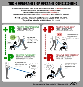 quadrants of operant conditioning